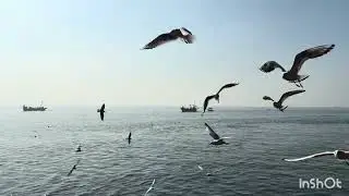 What If We Lived a Happy Sea Side Life?