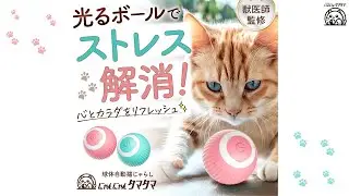 球体自動猫じゃらし【にゃんにゃんタマタマ】ご使用方法・動作のご紹介