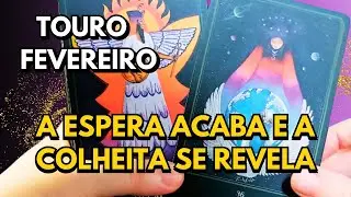 ♉️ TOURO | FEVEREIRO: DEPOIS DE TANTA LUTA, A COLHEITA FINALMENTE CHEGA!