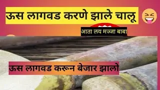ऊस लागवड कशी करावी || woosh Lagwad ||😂