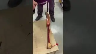 SFX 300W 500W Laser Wood Cleaning Machine 丨 Air Cooled Pulse Laser Cleaenr