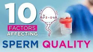 ✳️डॉक्टर से जाने कहीं आपके वीर्य में कोई कमी तो नहीं? ✅ Factors that Affect the Quality of Sperm