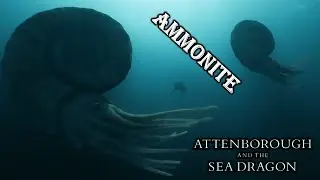 Attenborough and the Sea Dragon ammonite screen time