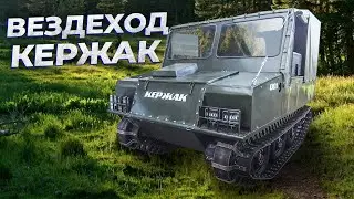 Знакомьтесь, гусеничный вездеход 
