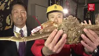 Snow crab fetches record $46,000