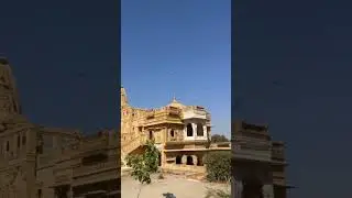 Flying in style 🕊️#highlights #birds #sky