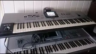 KORG Pa3X / Goniąc kormorany - Piotr Szczepanik