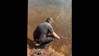 Record setting fish at Jenkinson (Sly Park) Lake in the Sierra Nevada Mountains. #mackinaw