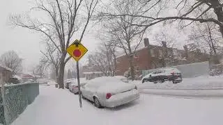 Checking out the Snowstorm!