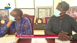 Ondo State Govt, La-ruta Sign Memorandum of Agreement on Rice Production
