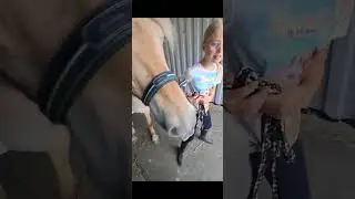 Das sind die besten Fails des Jahres 🙈