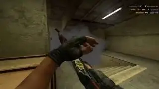 SK gaming - Cold/FALLEN highlight test 2