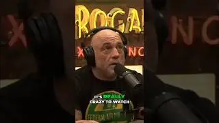 Joe Rogan Exposes the Truth About the UK's Immigration crisis