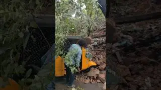 vizag cyclone montha effect