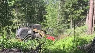 ASV 120 mulcher working on a DNR project in eastern washington