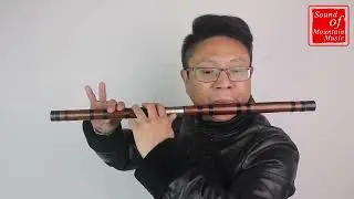Concert Grade Bitter Bamboo Flute Chinese Dizi Instrument with Accessories 2 Sections 笛子