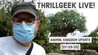 Thrillgeek LIVE! - Animal Kingdom Update (07/29/20) - Disney World