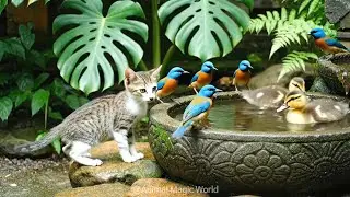 Animals Drinking Water at a Garden Fountain