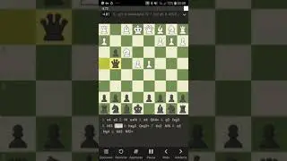 Typical 1100 ranked match of chess | Bakai Matai