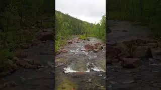 The Mighty Wilson Creek NC #waterfalls #cascade #creek #shorts #short #shortsyoutube #northcarolina