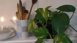 Decorando a cozinha. Lumin&aacute;ria florida para dias nublados. A arte de viver uma vida simples