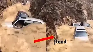 Incredible moments caught on camera.#funny #comedy.try not to laugh.
