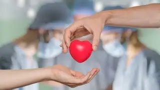 Fact-checking common myths about organ donations