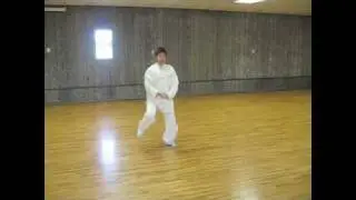 Yilu Demonstration by Chen Zhonghua in November 2007
