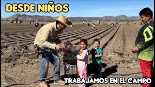 Desde Chiquitos Trabajamos En El Campo, Nuestros Padres No Tienen Con Quien Dejarnos En Casa.👦
