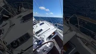 nauticat 331