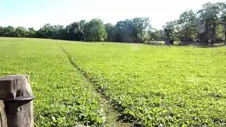 Boiling Springs to Duncannon