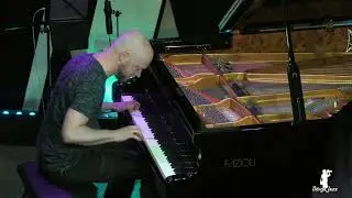 Kaltenecker Zsolt 