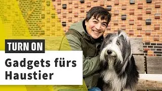 GPS- und Fitness-Tracker für Hunde: Linus im Einsatz