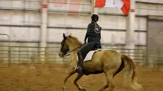 Northwest Horse Fair & Expo 2017 Canadian Horse Breed Showcase & Color-guard Presentation