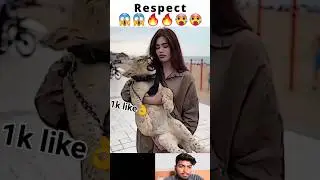Respect moments shorts new 2023 #shortsvideo #respect #viralvideoshorts