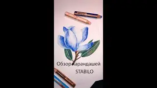 Обзор карандашей STABILO