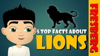 Top 5 Fun Facts about Lions for Children! (Animals for Kids Educational Videos)