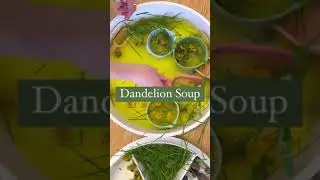 Dandelion Soup
