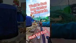 World In Best Dog Catcher #dog #dogwithpublicsafety #animals #ytviral #best