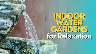 Indoor Water Gardens for Relaxation
