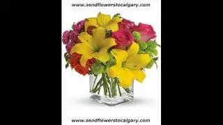 canada safeway florist vernon bc