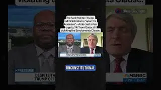 Richard Painter: Trump administration is &ldquo;open for business