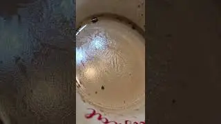 My Mocha is Alive! 