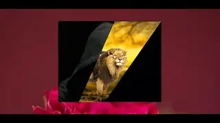 CSS & HTML Creative Image Hover Effects _ Using CSS Clip Path to Create Awesome Effects