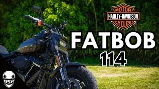 Полный обзор Harley Davidson Fatbob / Ошибка при продаже? // 4K