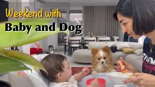 Last Weekend with Baby and Dog: Fun and a Night Out in the City