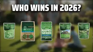 The Top 5 Best Bahia Grass Seed in 2026 - Must Watch Before Buying!