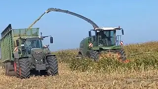 Maisernte Fendt Katana 650/728-Hawe Siwa 5000/Kröger Agroliner