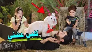 كلبي عضني🐕بسبب الزعاطيط🔫#هههه😲