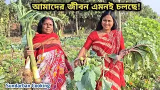 আমাদের জীবন এভাবেই কাটে! মায়ের পছন্দের রান্না ও পাঁচ মেশালি সবজি দিয়ে চিংড়ি! Sundarban Cooking 